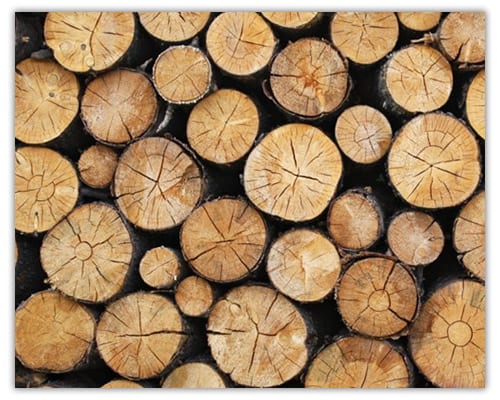 seasoned fuel wood