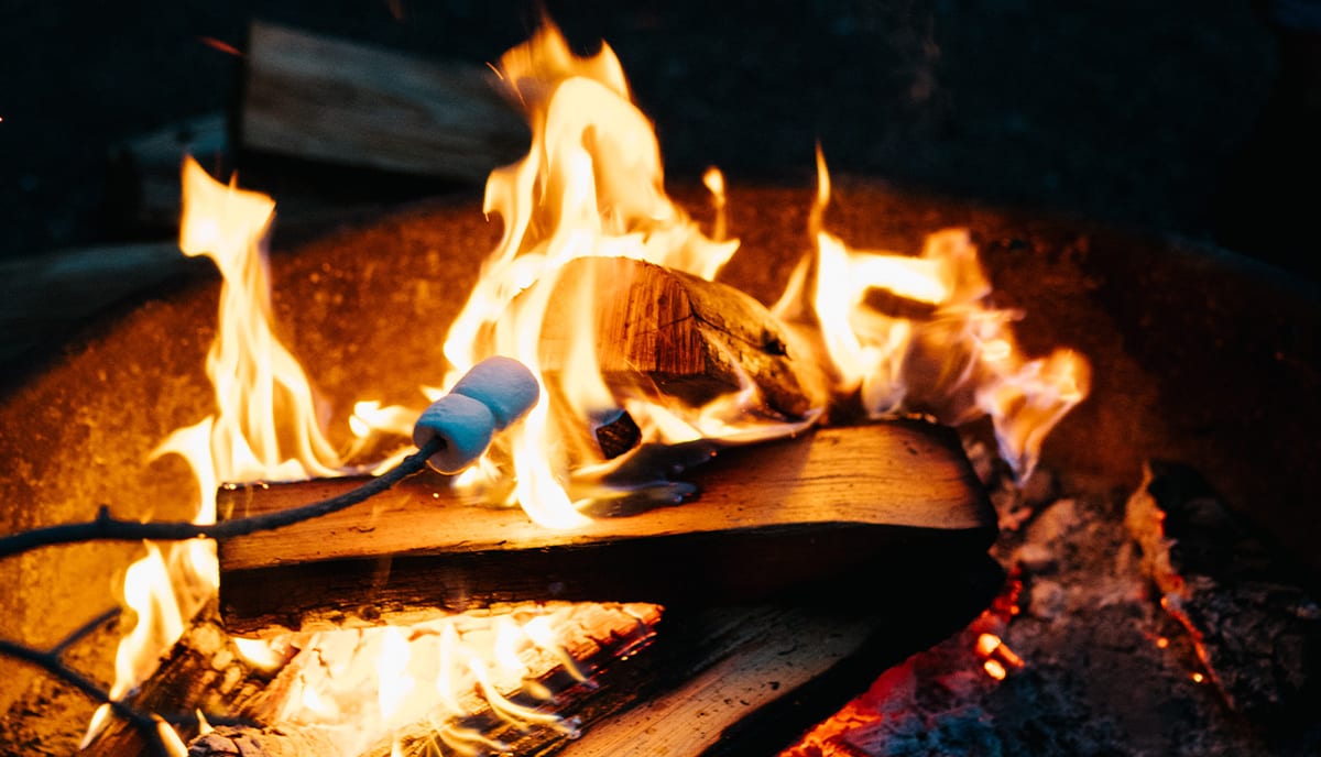 Kiln Dried Wood For Your Outdoor Fire, How To Cook A Roast In Fire Pit
